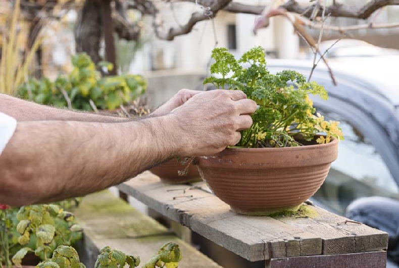 רשטאירושלים